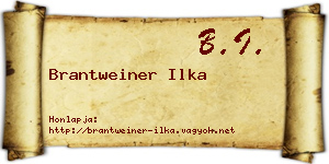 Brantweiner Ilka névjegykártya